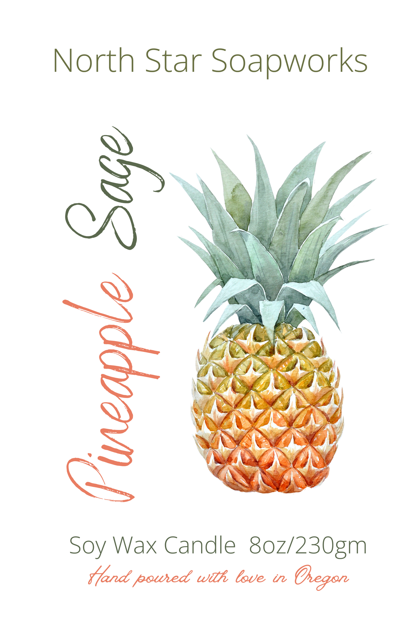 Pineapple Sage